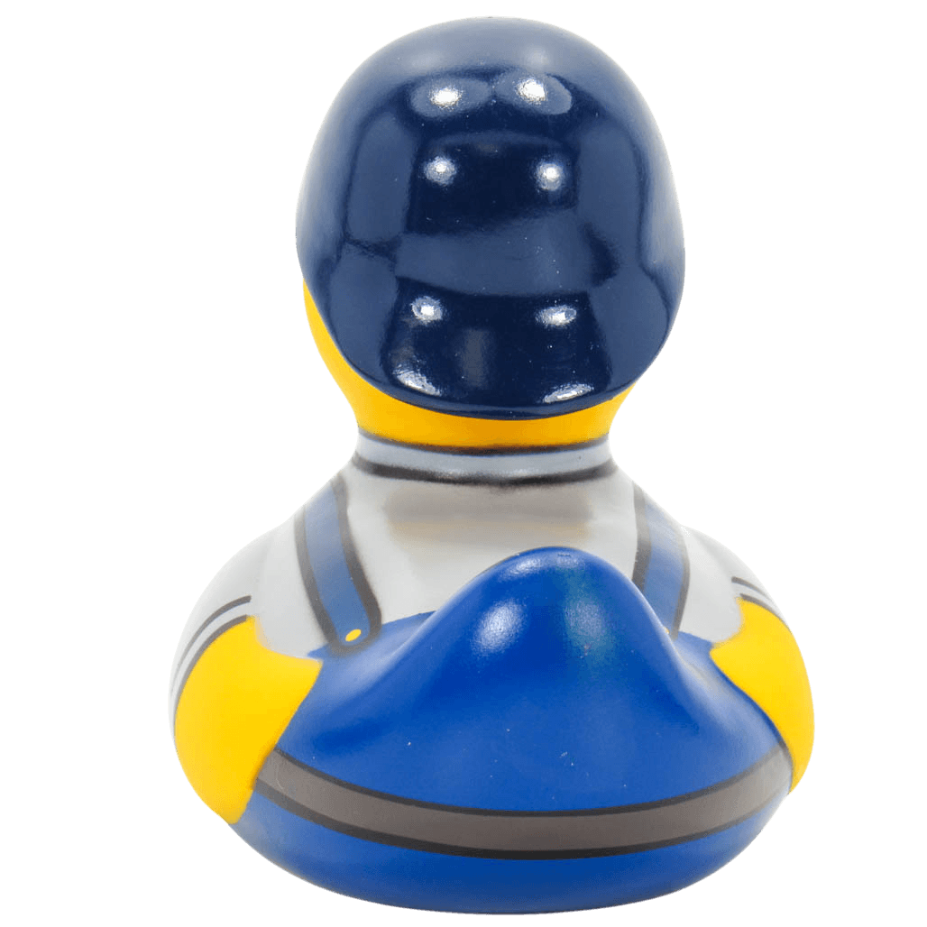 DIY Duck. 1418