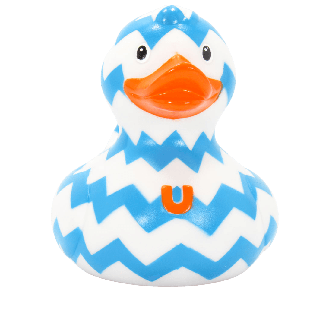 Zigzag Duck