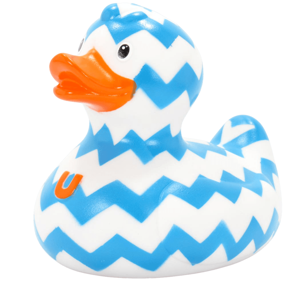 Zigzag Duck