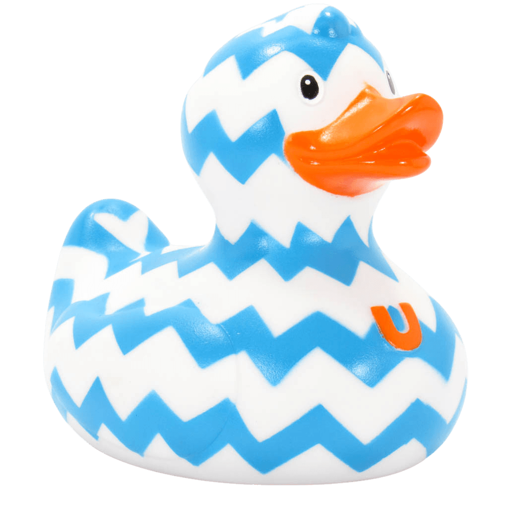 Zigzag Duck