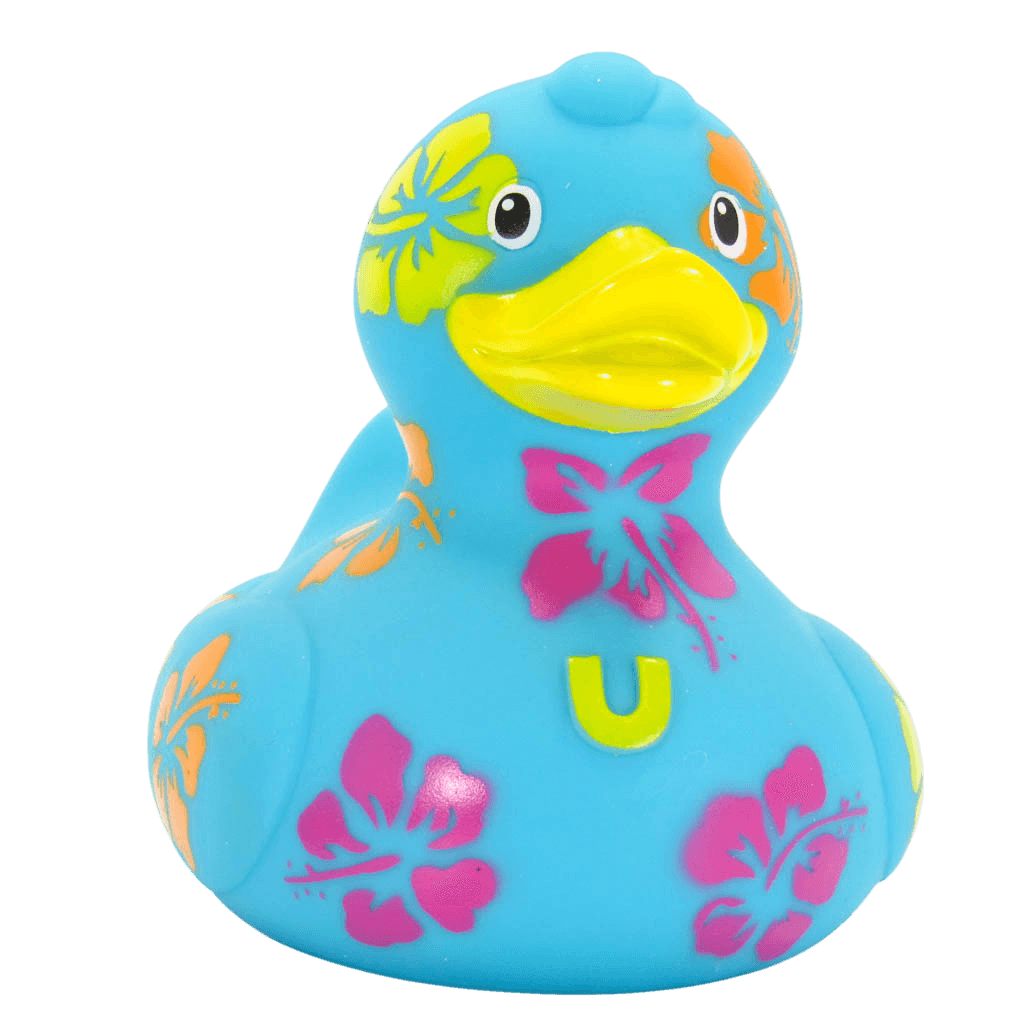 Hawaiian Duck. 1510