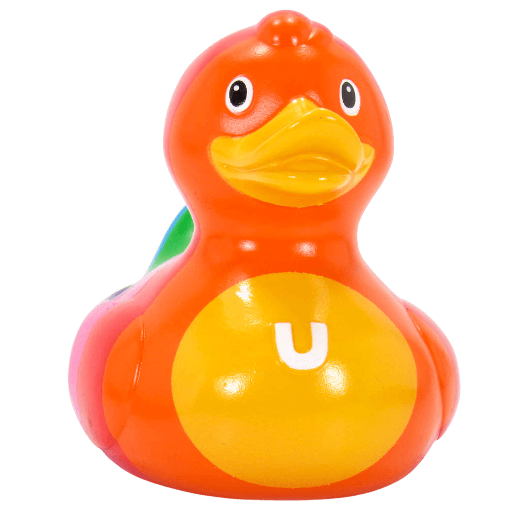 Rainbow Mini Duck. 1513