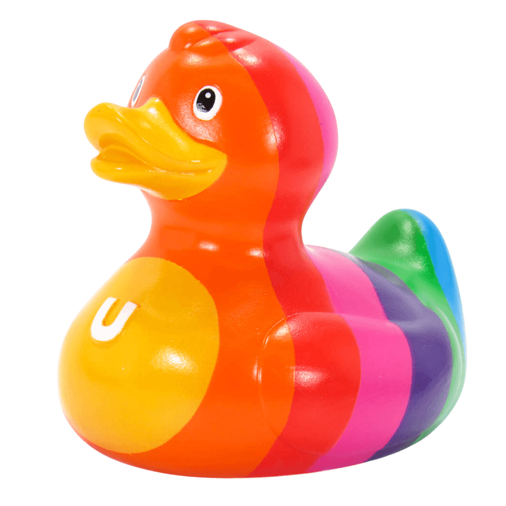 Rainbow Mini Duck. 1513