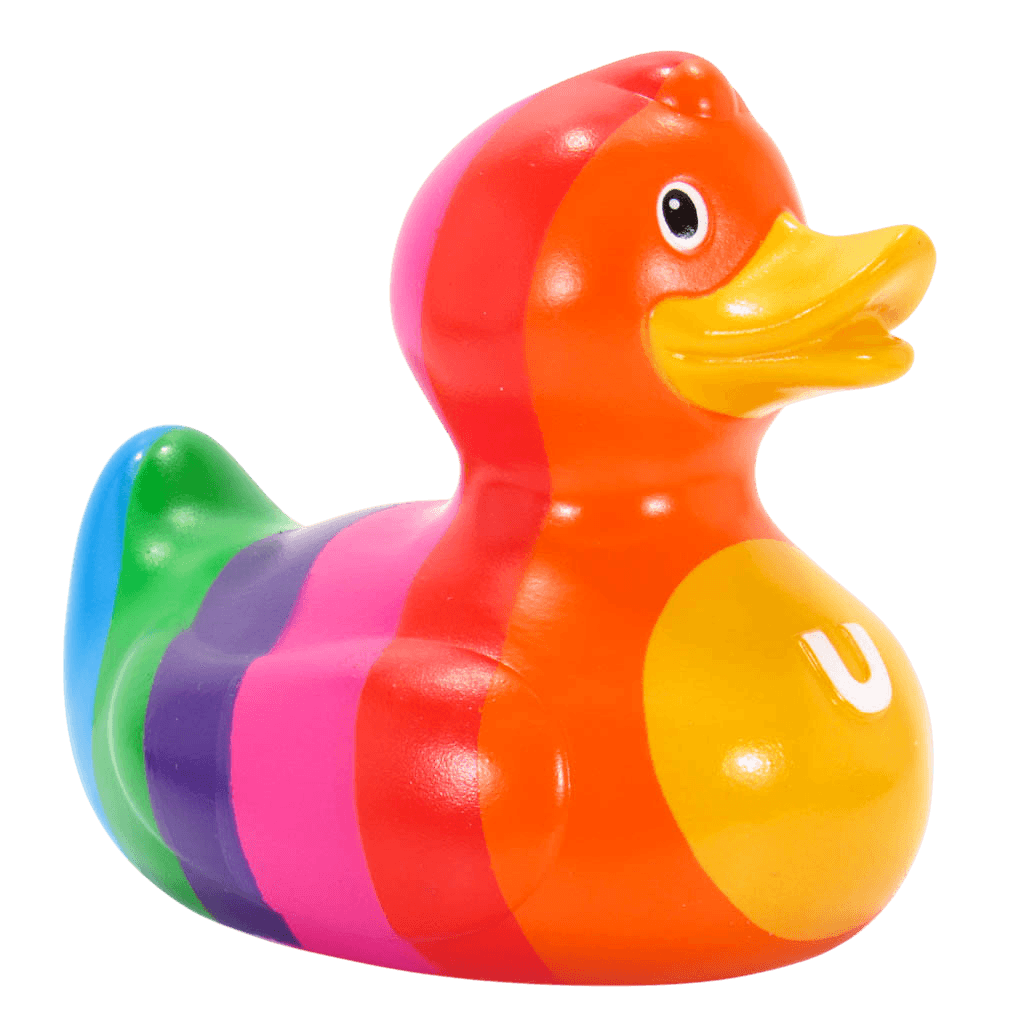 Rainbow Mini Duck. 1513