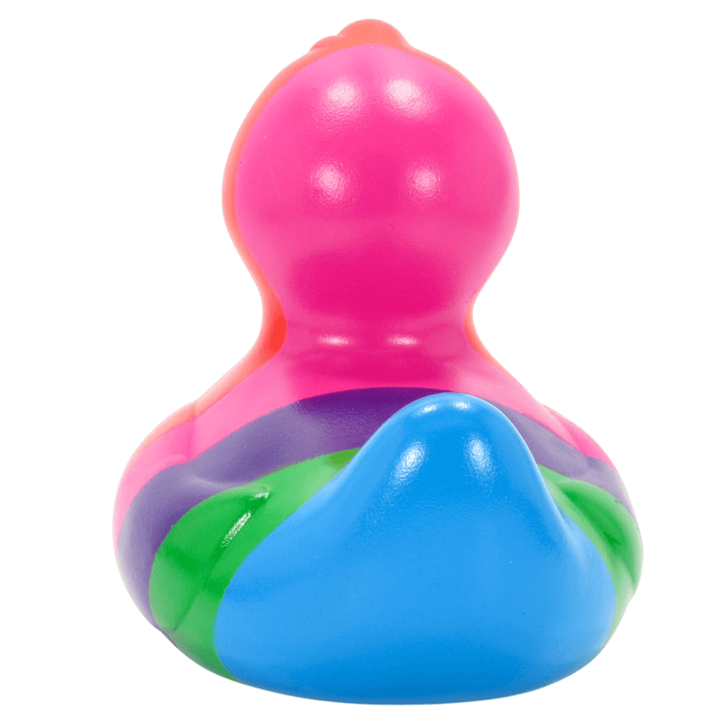Rainbow Mini Duck. 1513