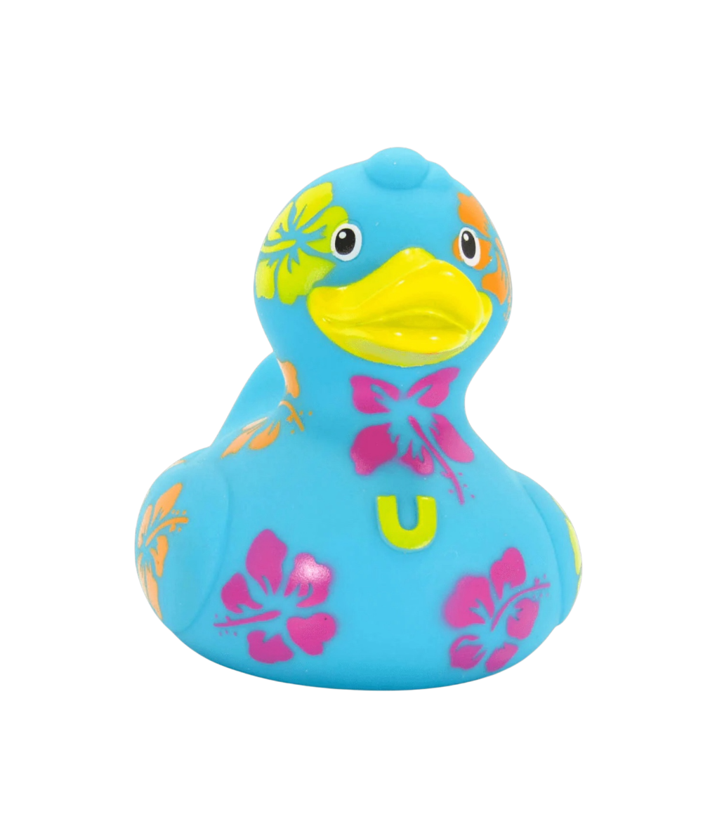 Hawaiian Duck. 1510