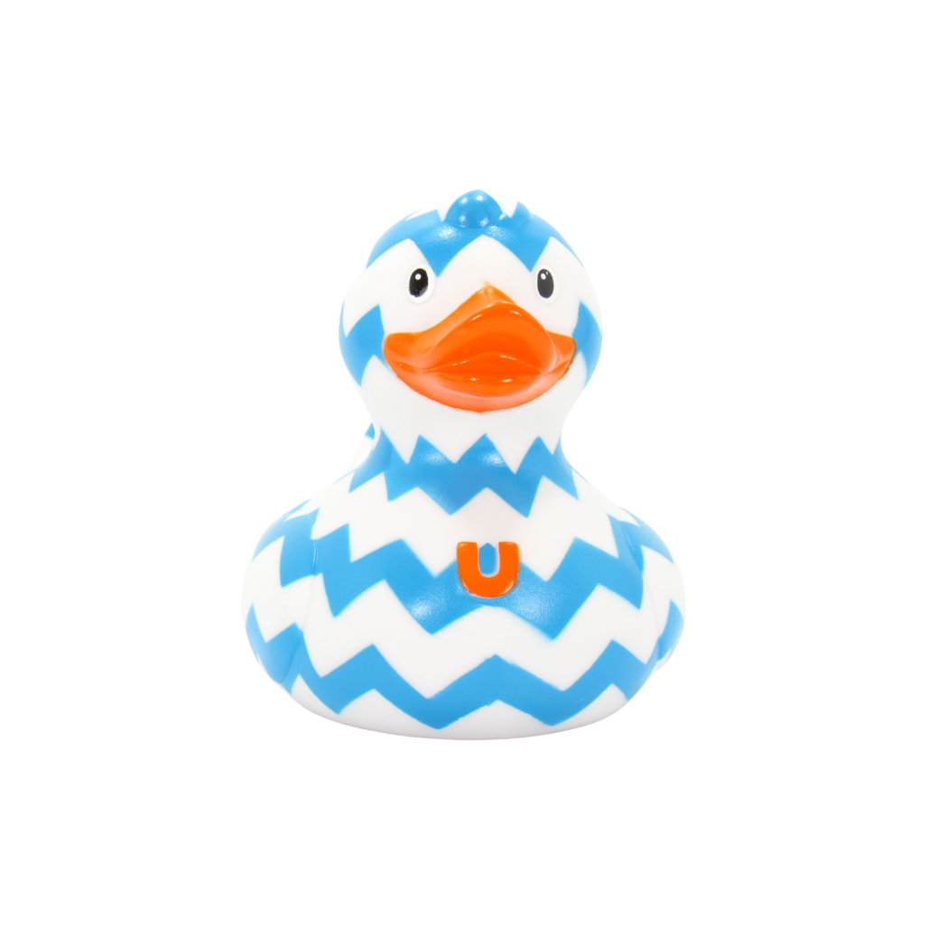 Zigzag Duck