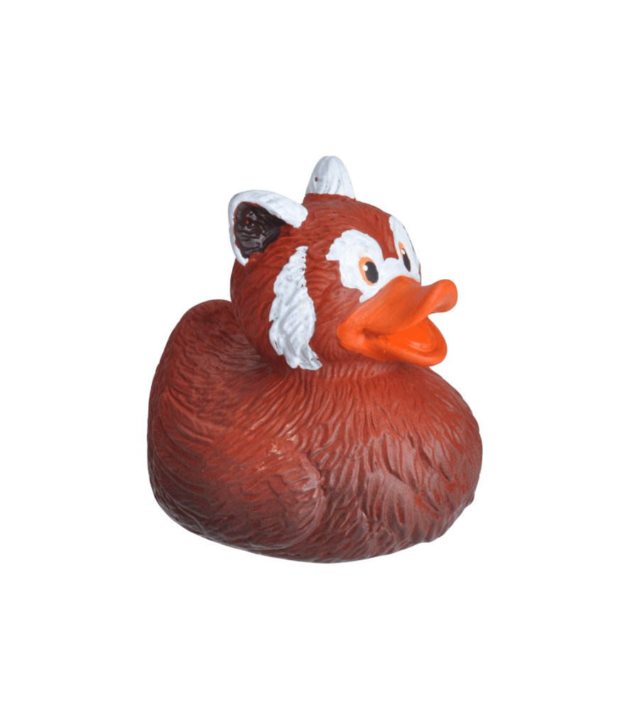 Red Panda Duck. 23216