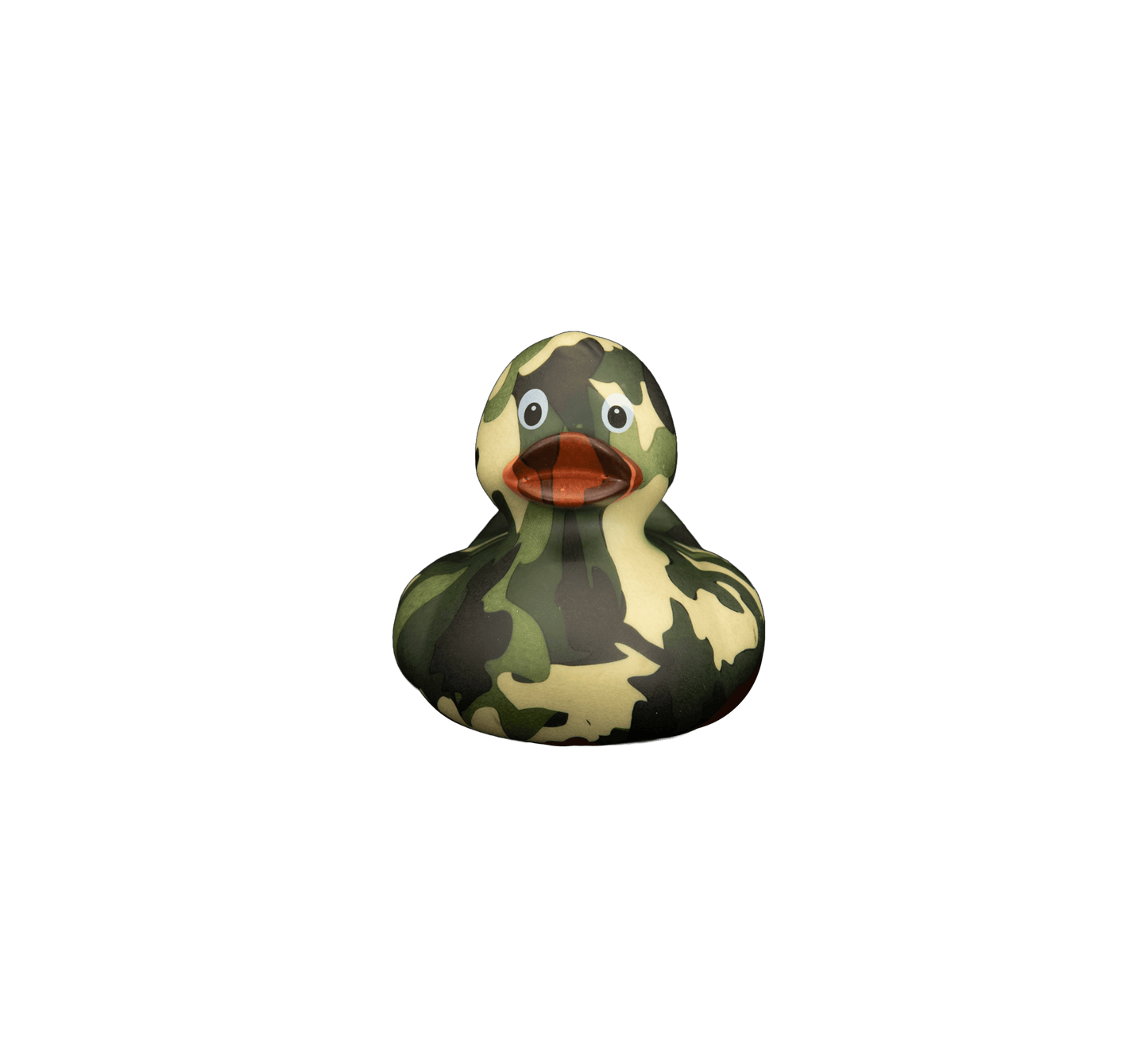 Art Duck 6