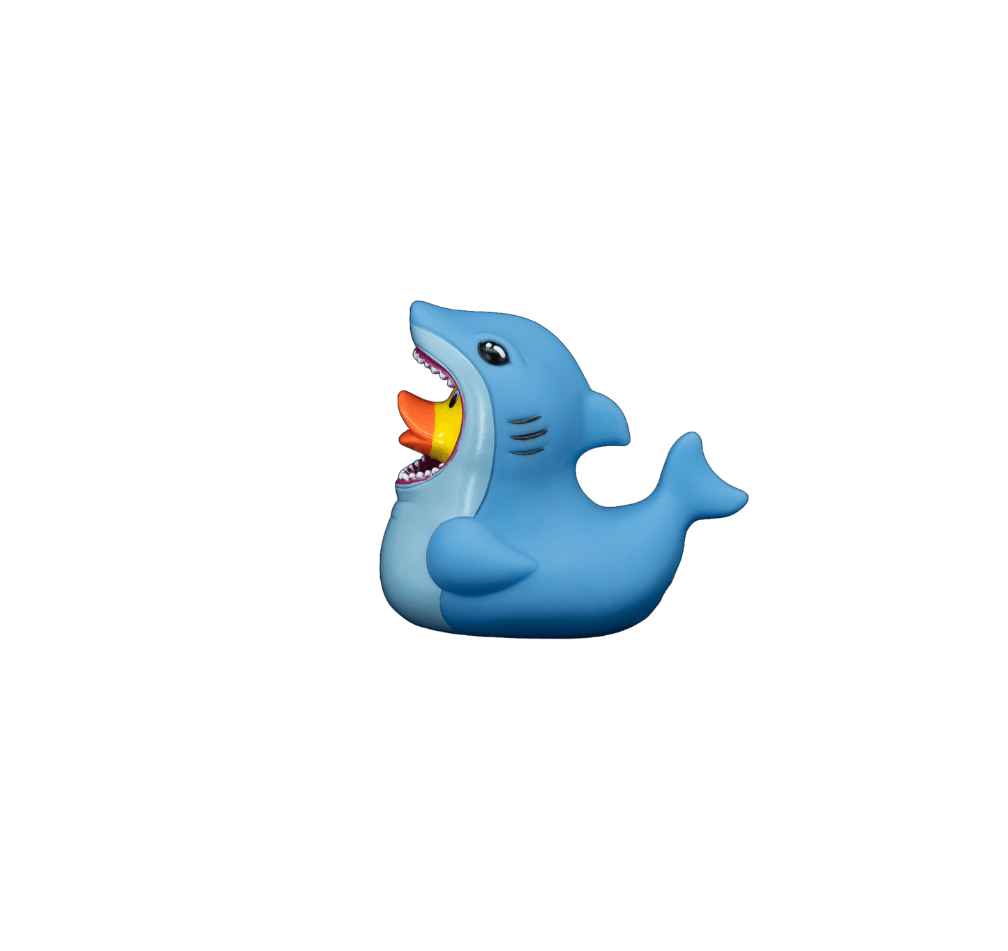 Sharky dwl 2013