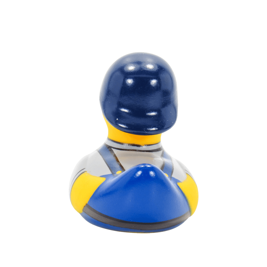 Mini DIY Duck. 1434