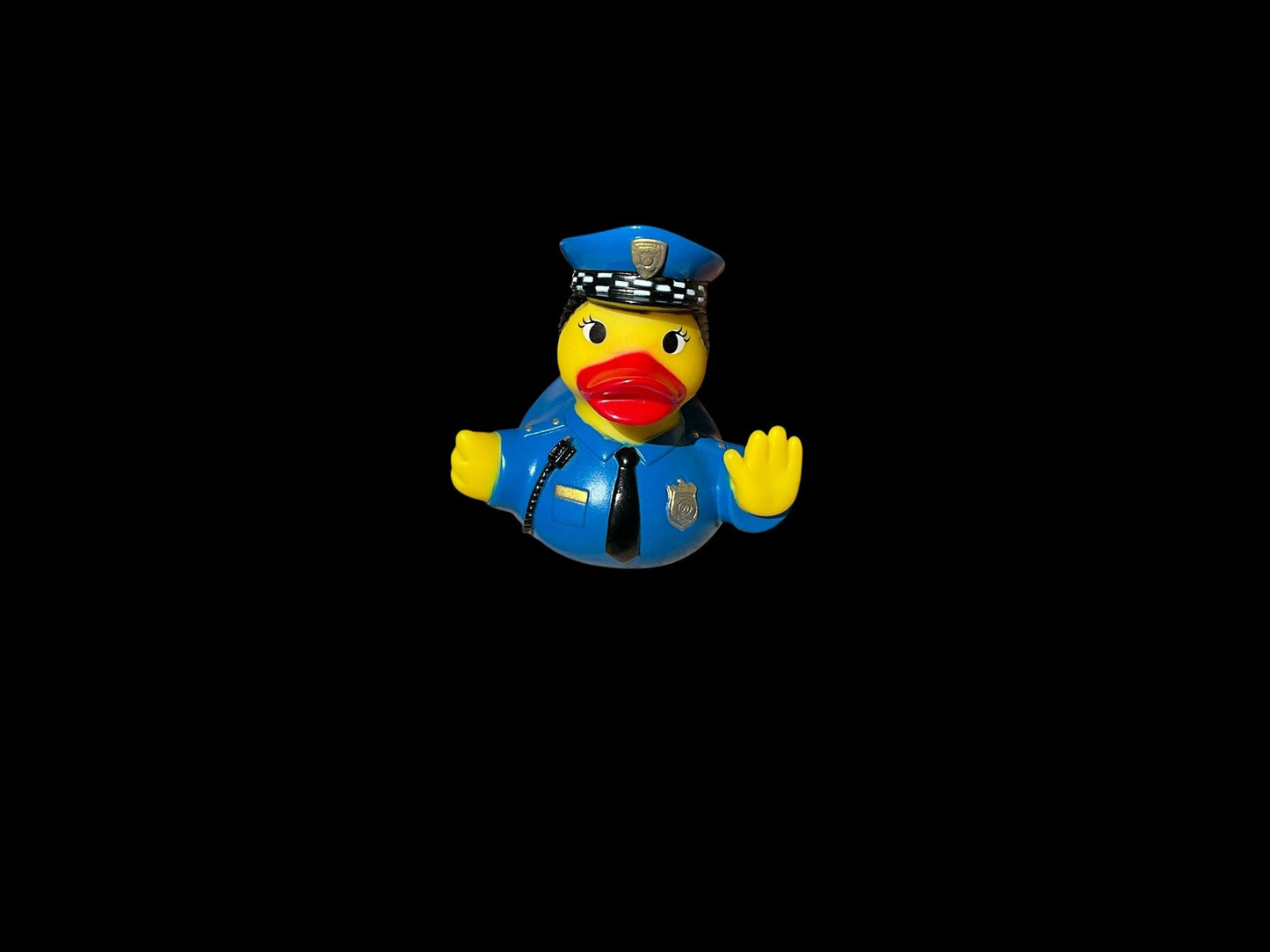Officer Delaney dd 1003