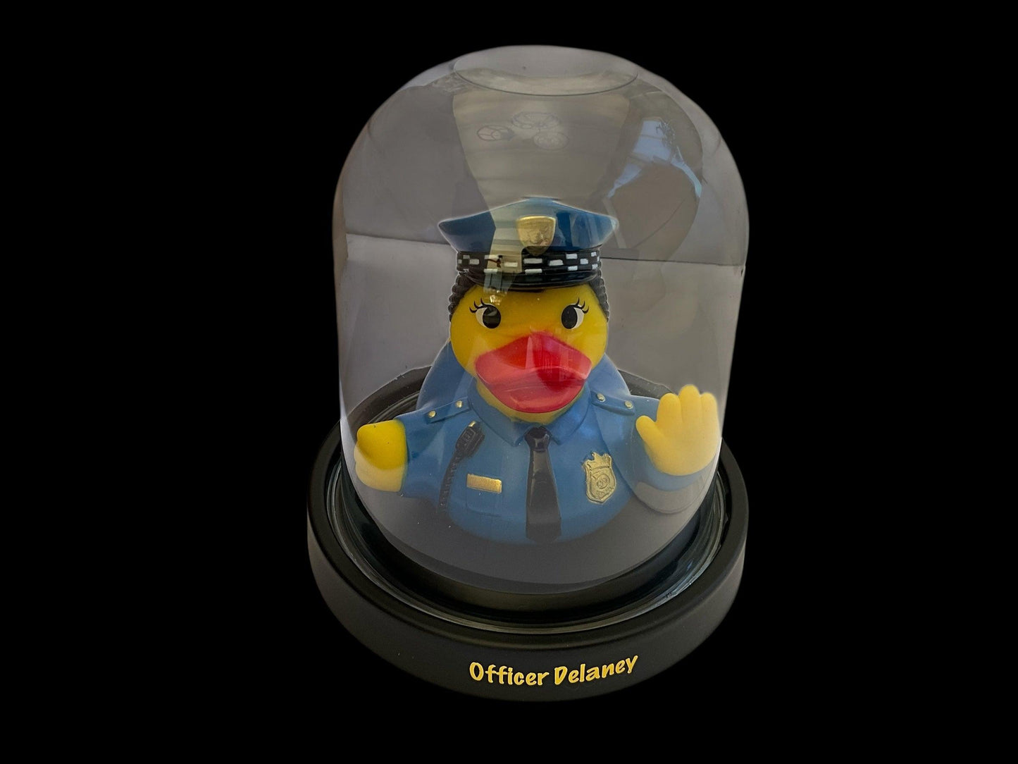 Officer Delaney dd 1003