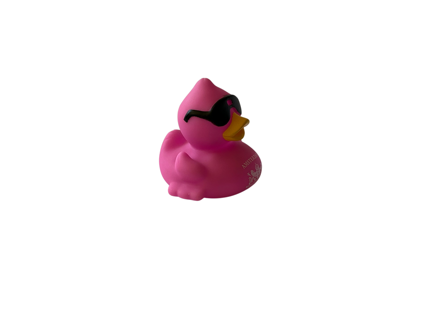 Race Duck Amsterdam purple dwl 2014
