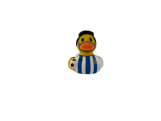 Argentina Football dwl 2020
