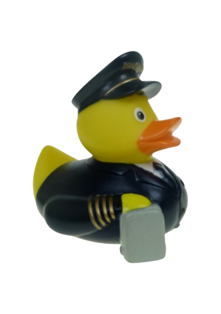 Pietro pilot 761