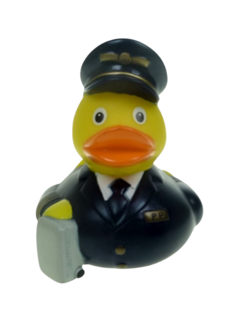 Pietro pilot 761