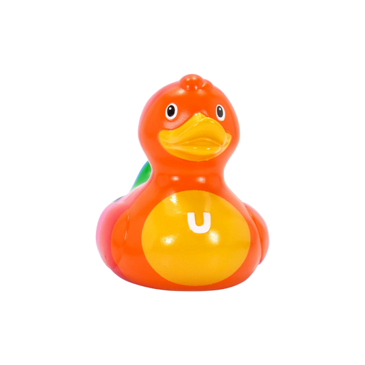 Rainbow Duck. 1499