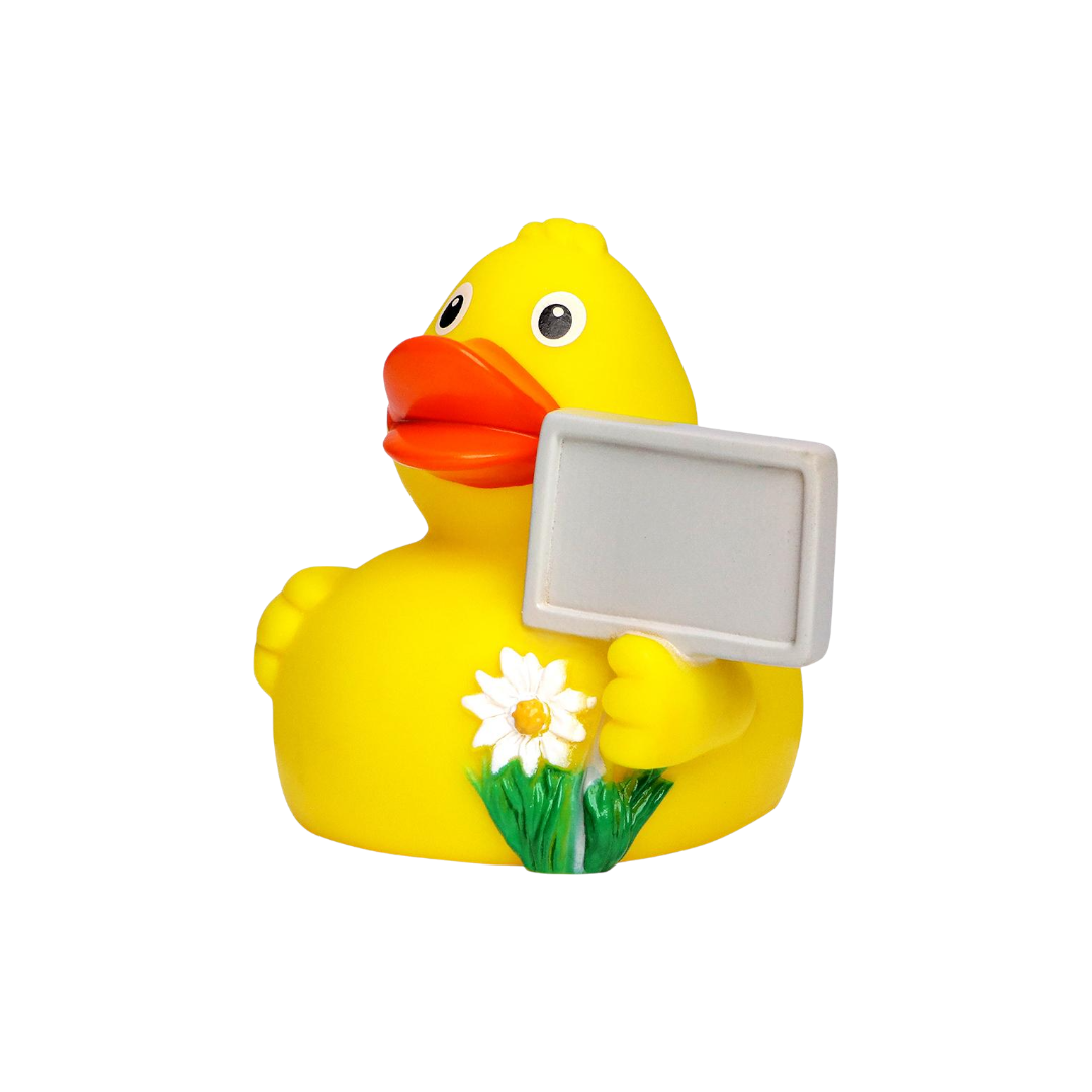 Sign Duck M131126